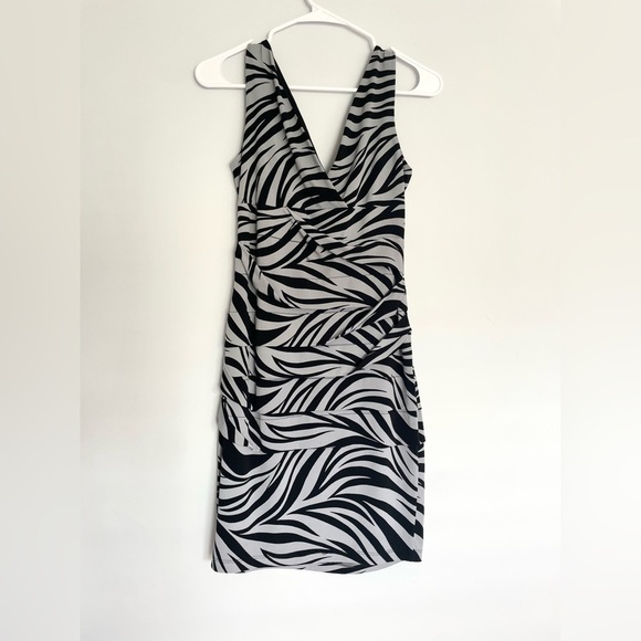 Sweet Storm Zebra Print Ruched V-Neck Dress - Picture 3 of 9